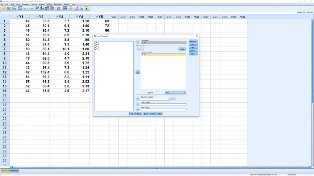 software pengolahan data skripsi SPSS