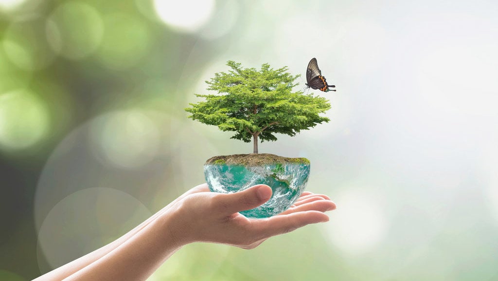 penerapan go green di kampus