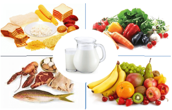 menu 4 sehat 5 sempurna